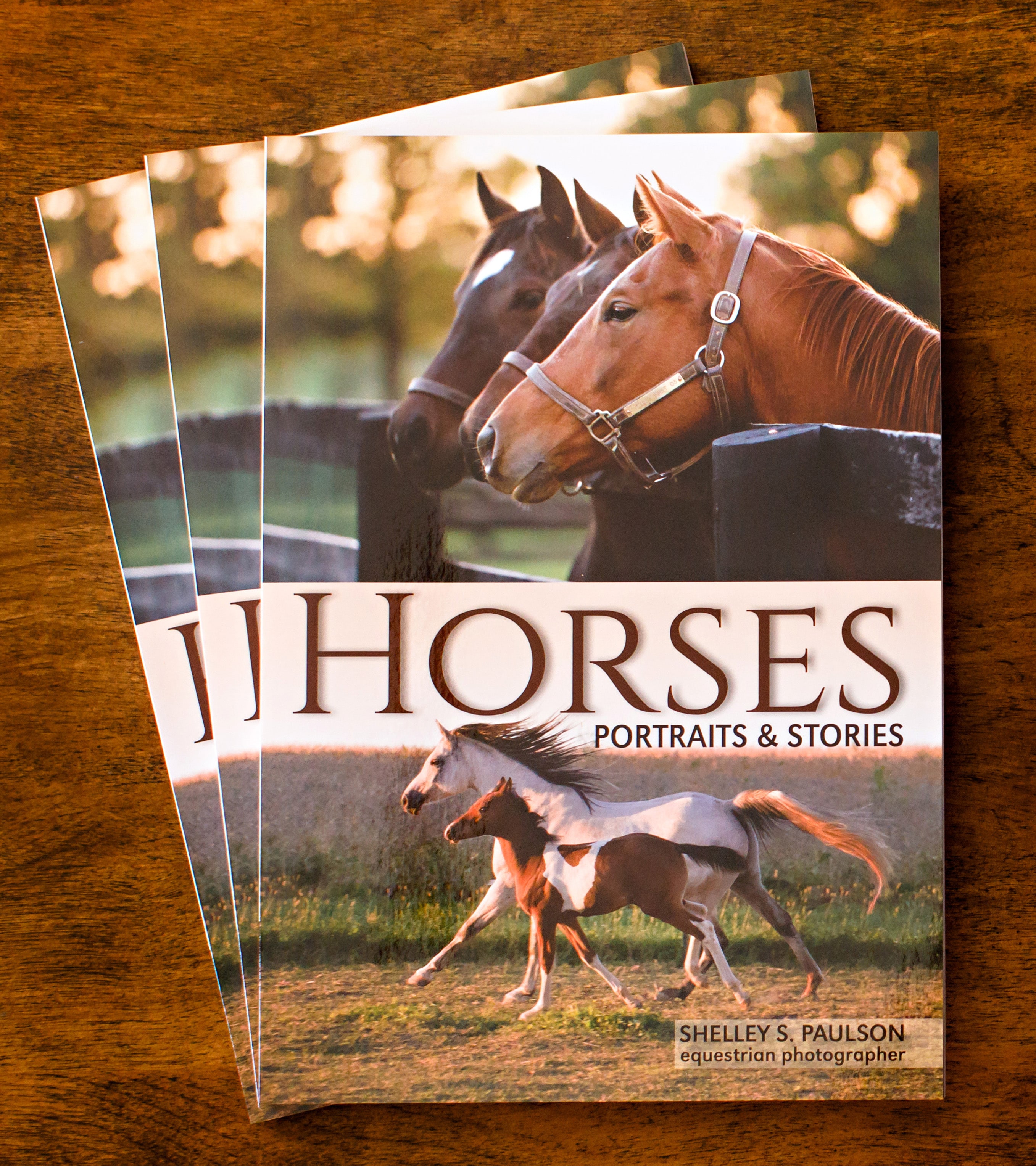 Horses, Portraits and Stories Book