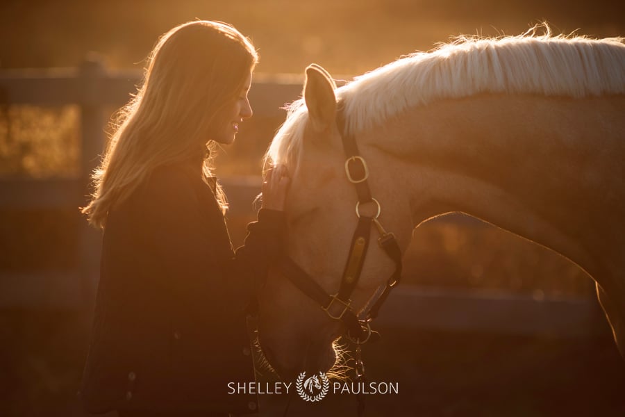 Lilou and Obie, the Perfect Palomino