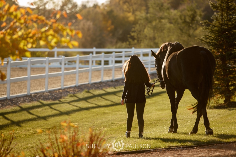 Bianca and her Horses Lou and Cenna