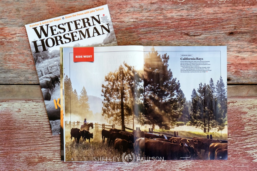 Opening Shot – Western Horseman August 2018