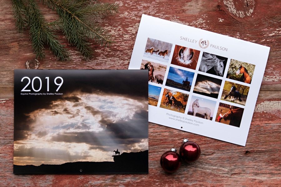 2019 Horse Photography Calendars