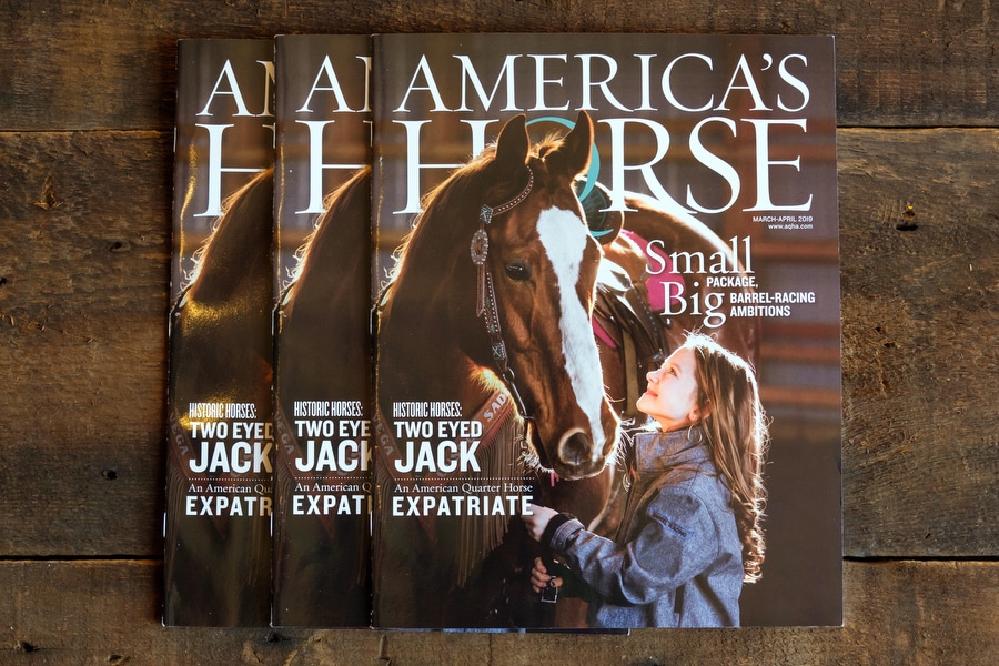 America’s Horse – Cover, Writing, Photos & Video