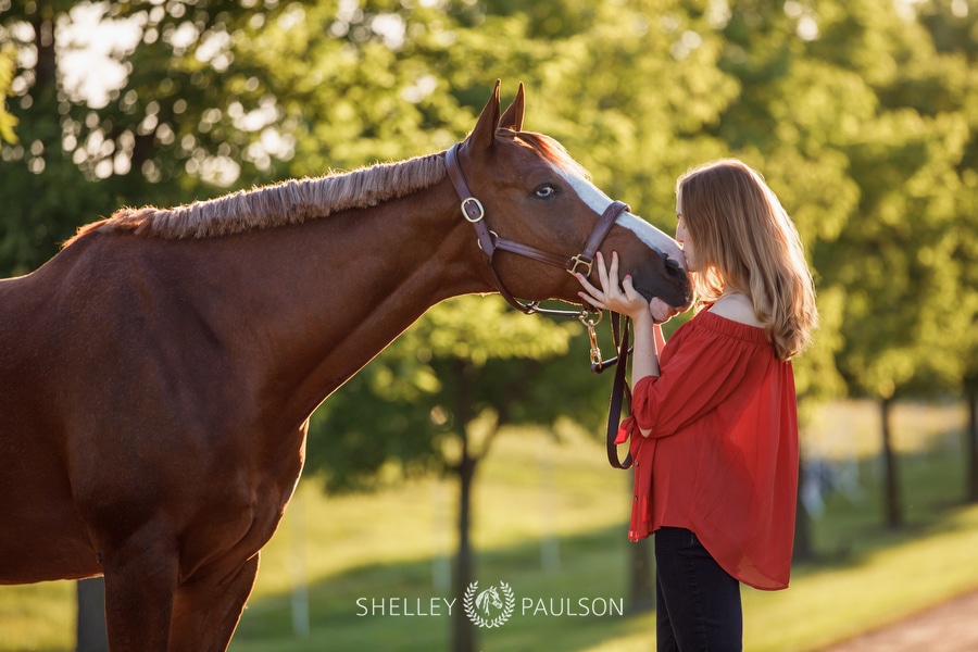 High school senior girl kissing her horse.