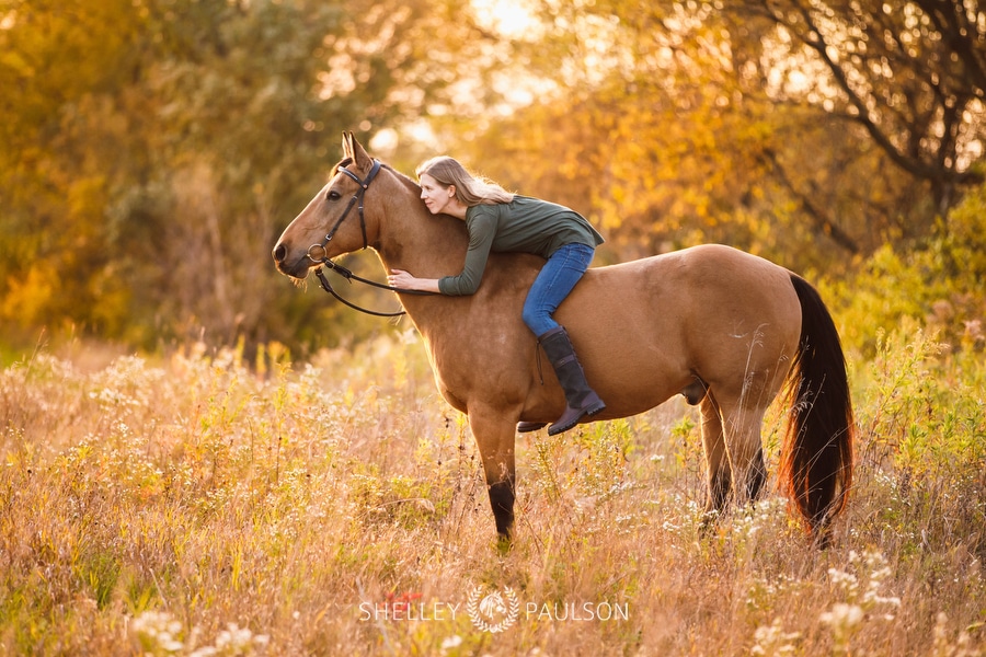 Equestrian Portraits with Kyla, Henry, Stitch & Mimi