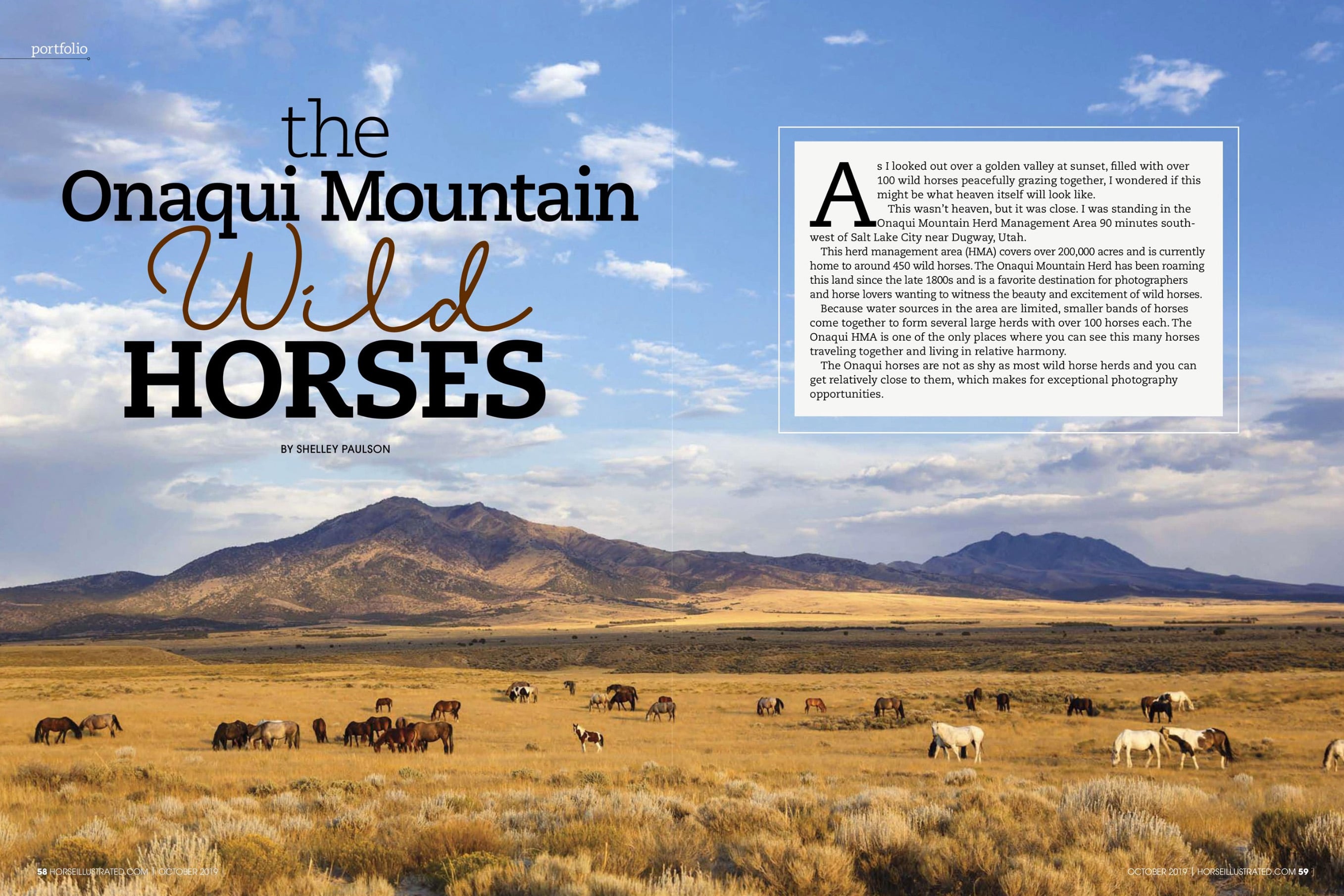 Horse Illustrated Onaqui Mustang Feature