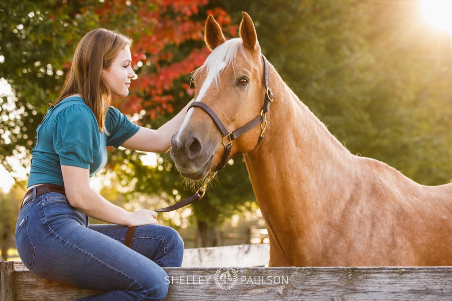 Equestrian Senior Portraits with Annika, Beau & Arrow