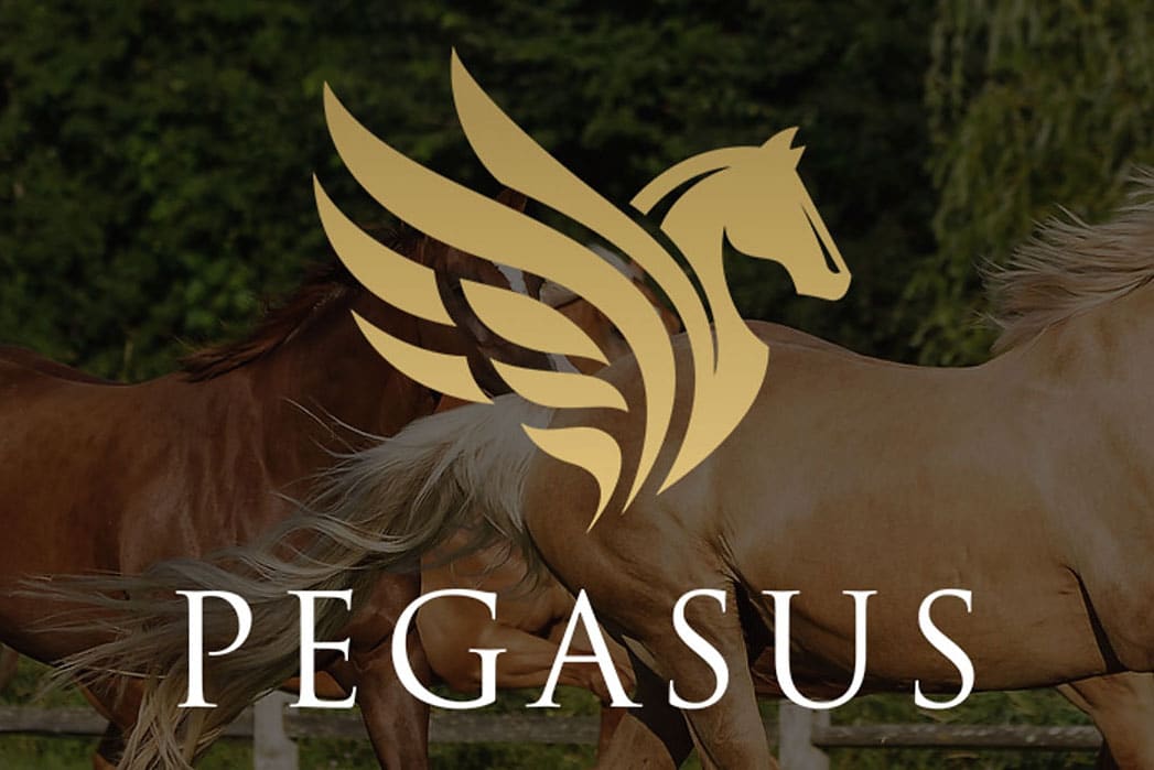 Pegasus Mentorship Closes Tomorrow!
