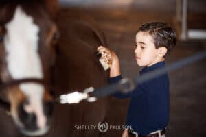 Photo of a boy brushing his horse