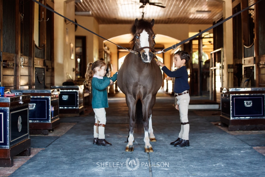 A boy and girl groom their pony