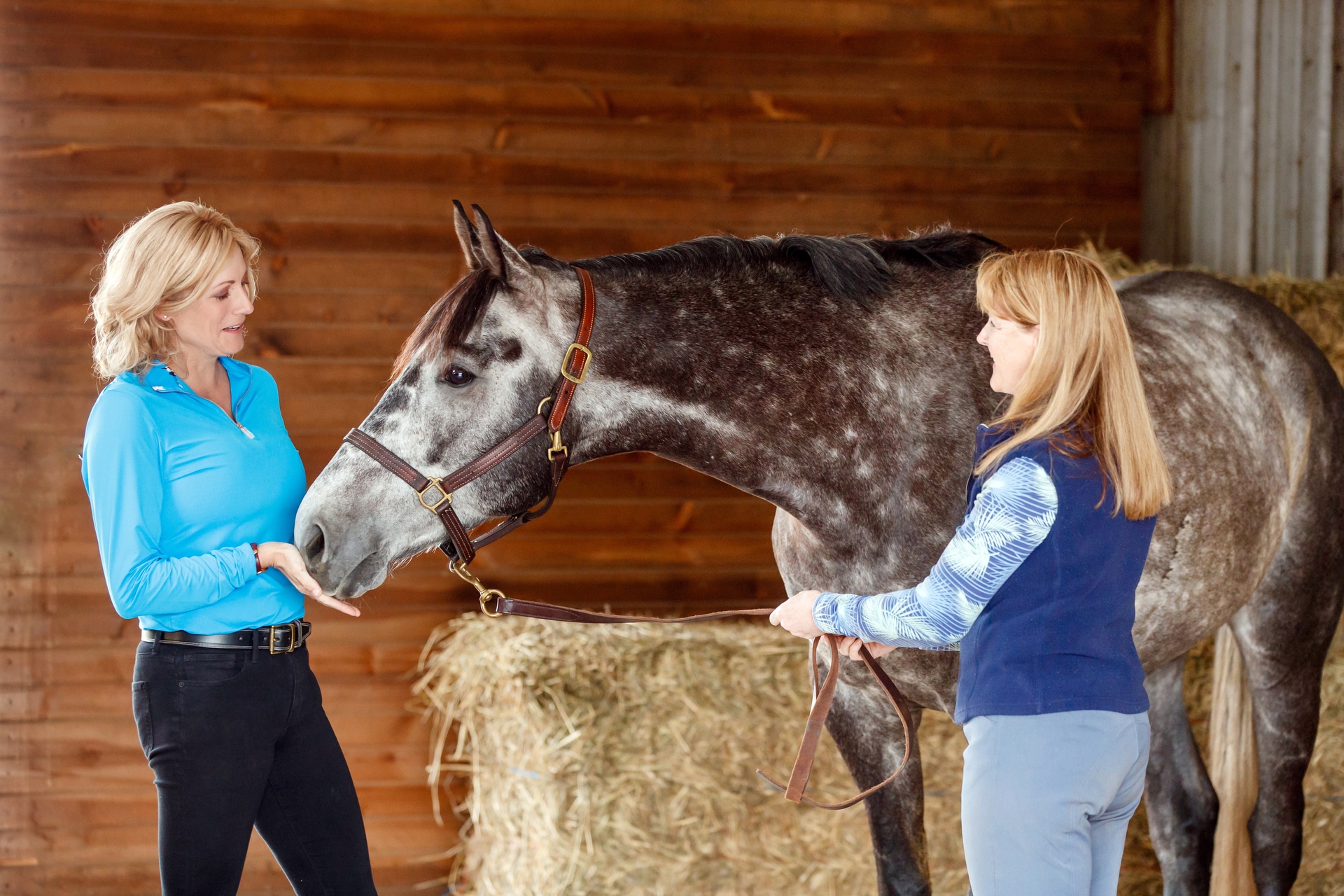 Legacy Equine Nutrition Branding Session