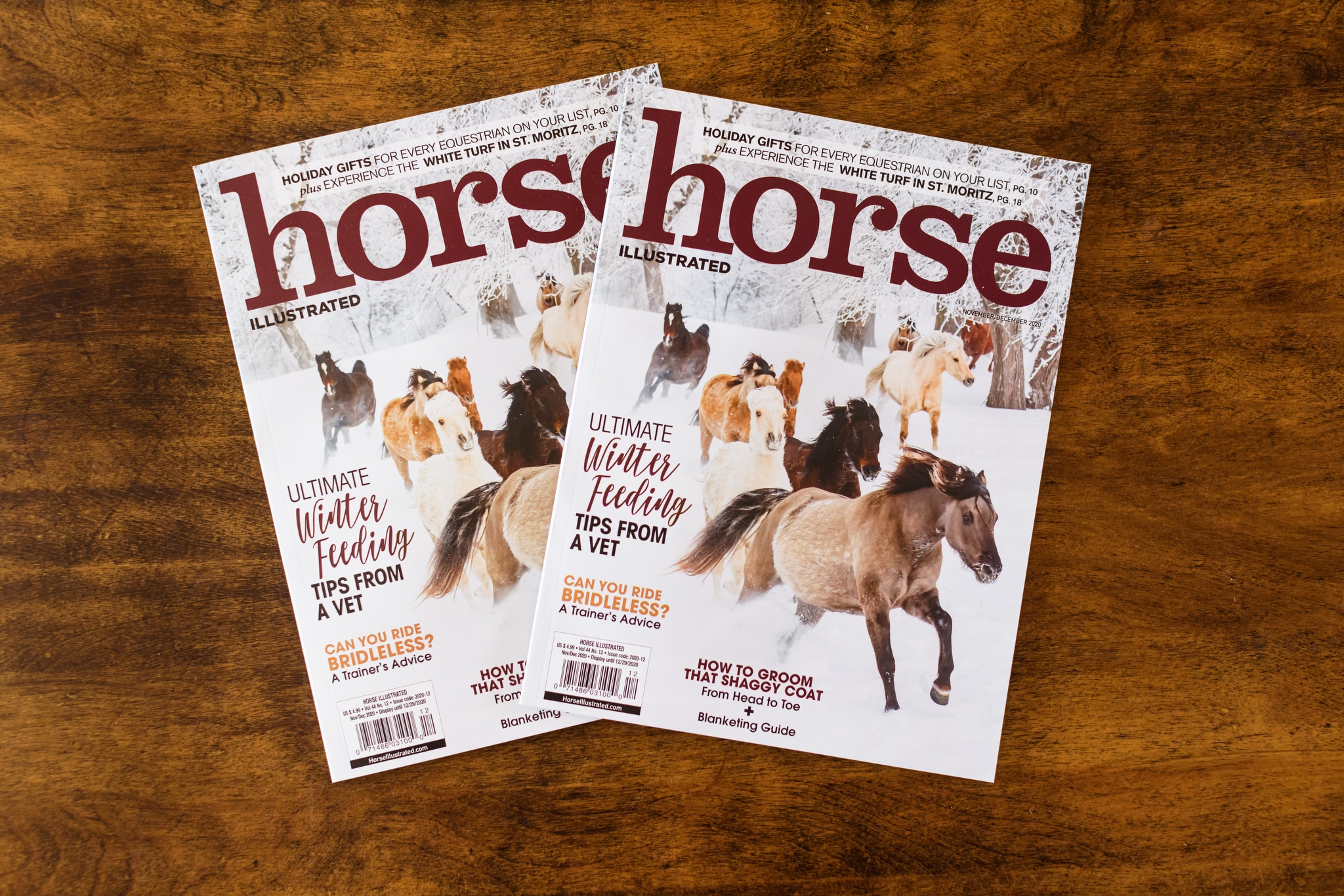December Horse Illustrated Cover & Photo Portfolio