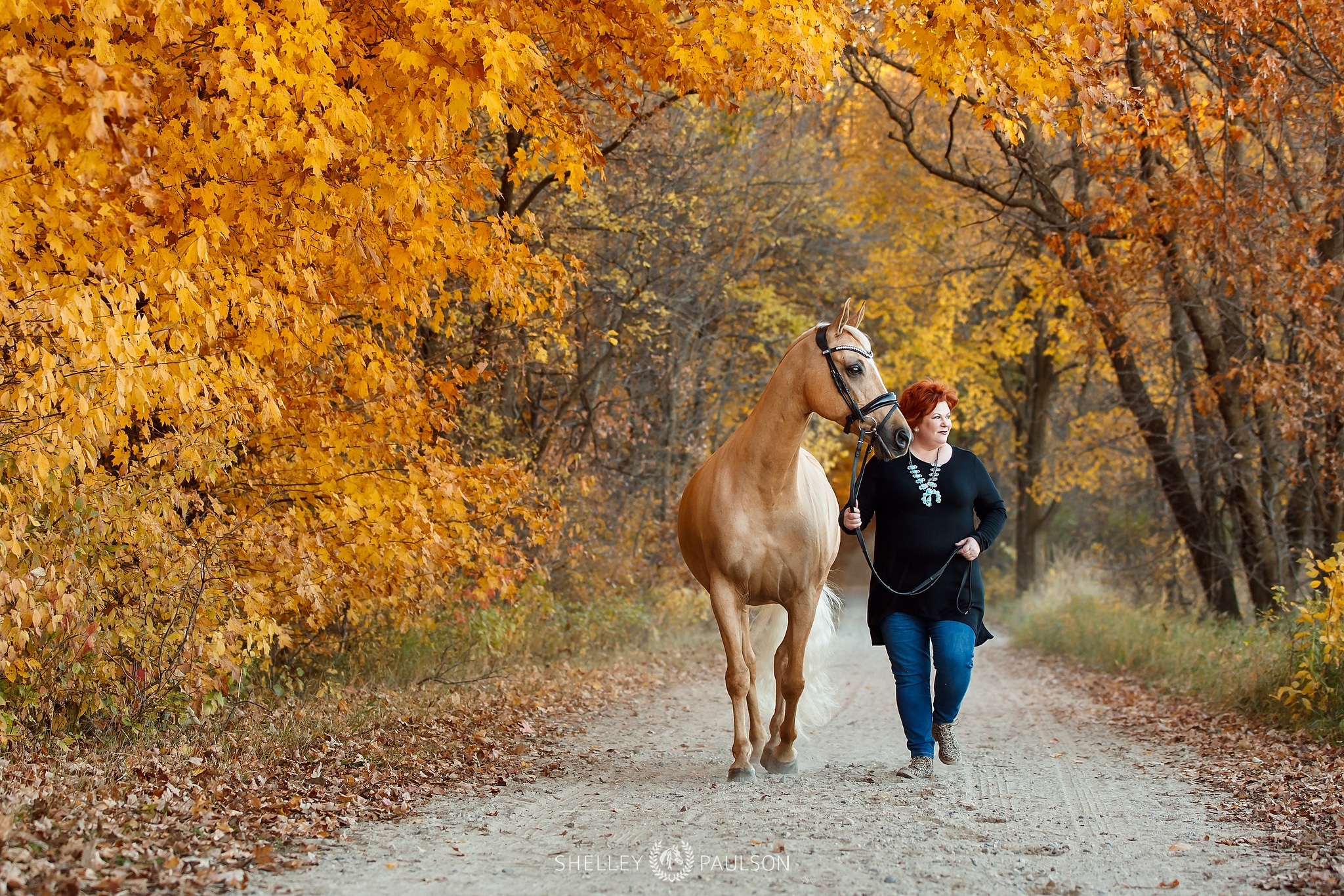 Best of 2020 – Equestrian Portrait Sessions