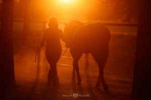 Silhouette Photo of Woman Walking with Horse