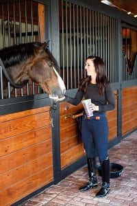 Equine Advertising Photographer