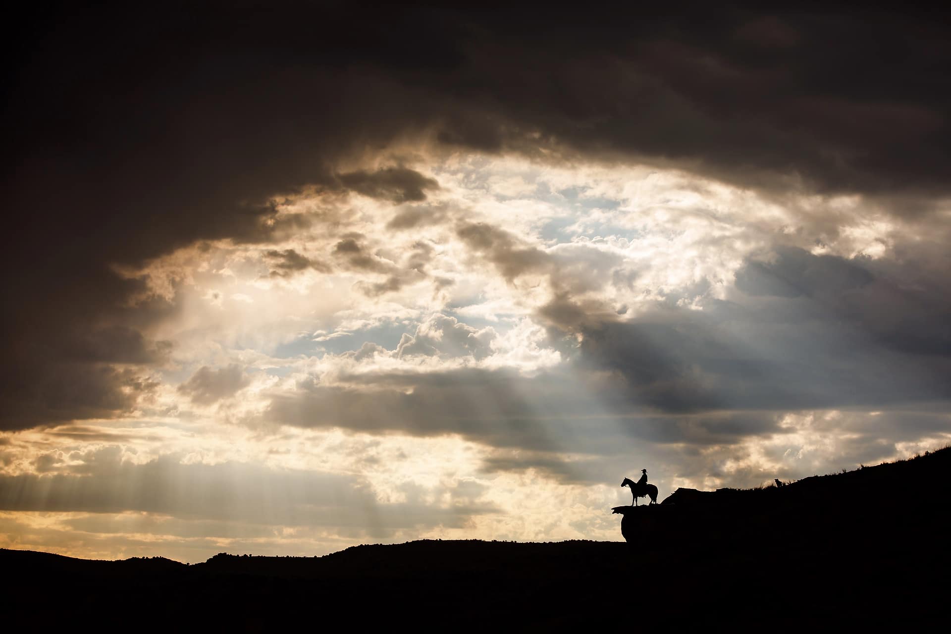 journey equestrian photography