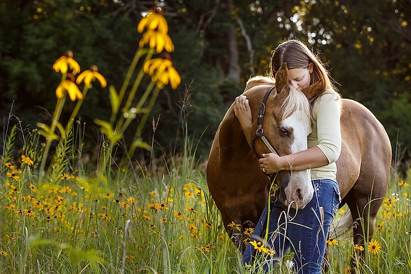 journey equestrian photography