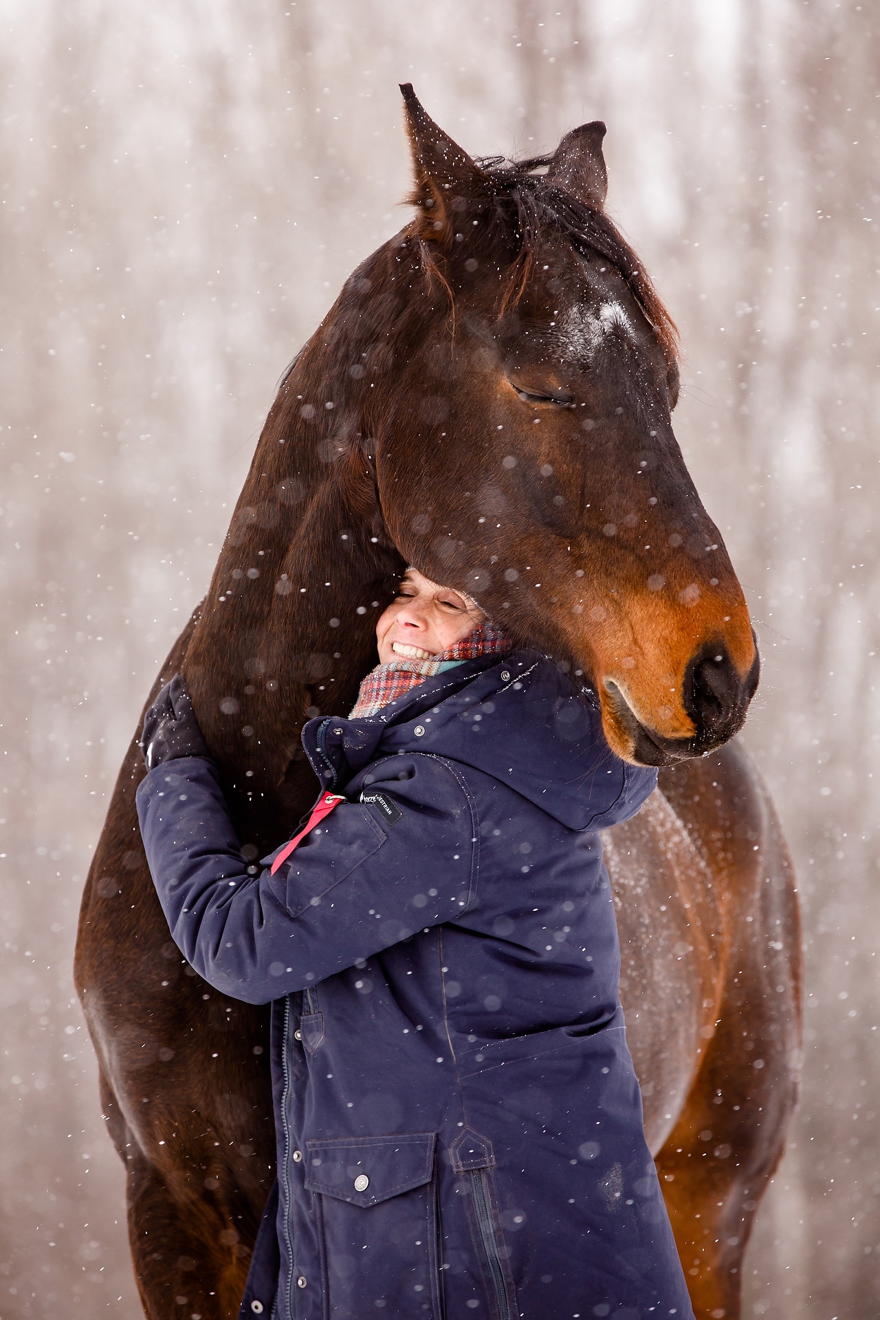 journey equestrian photography