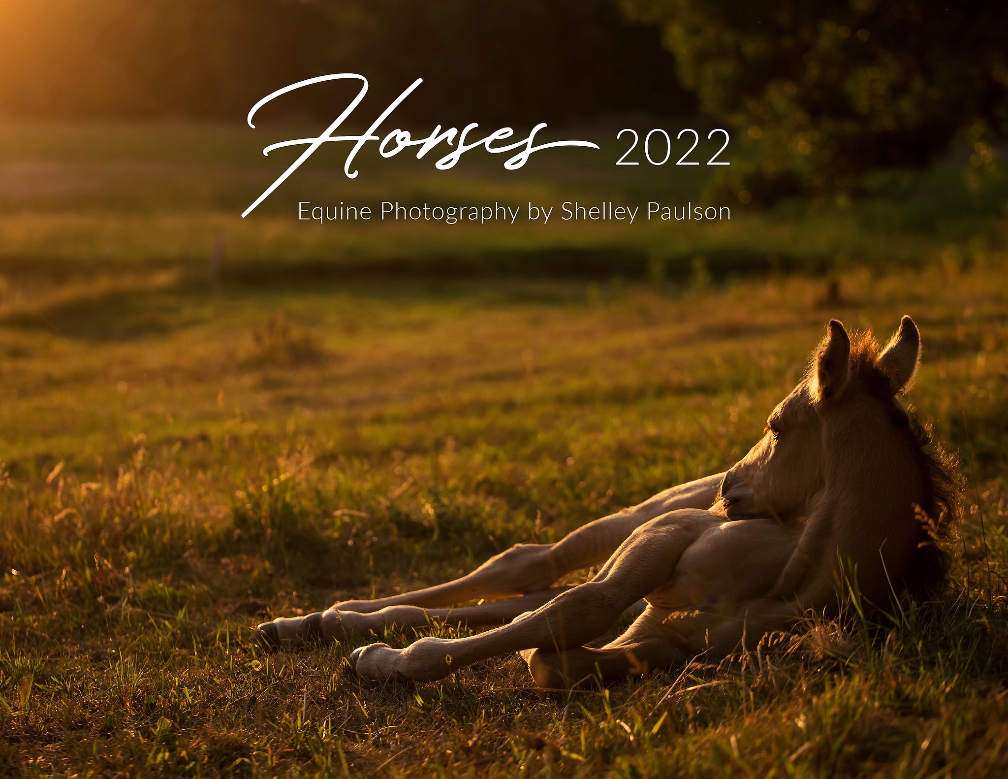 2022 Shelley Paulson “Horses” Calendar is Available for Pre-Order!