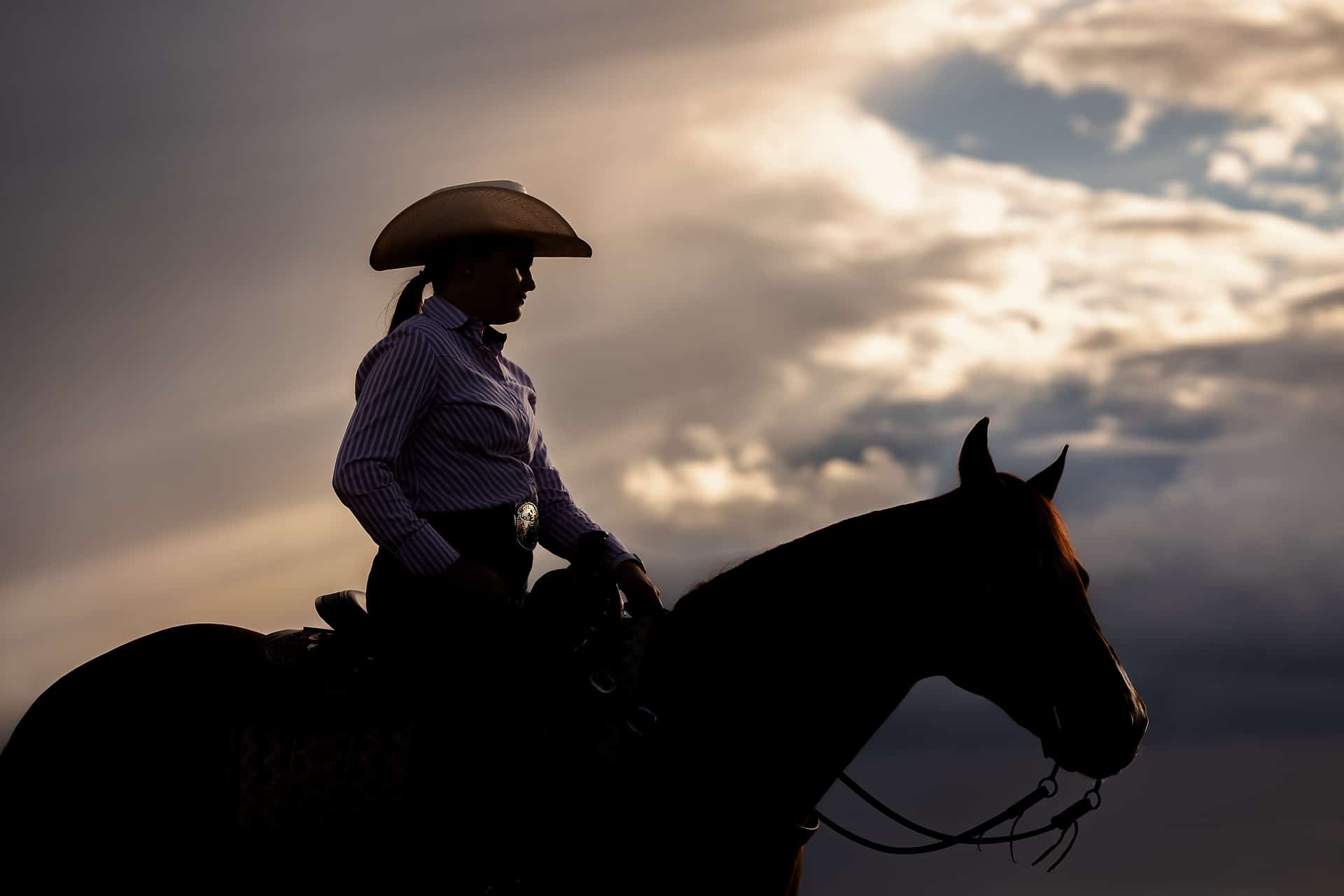 Reining Stock Session