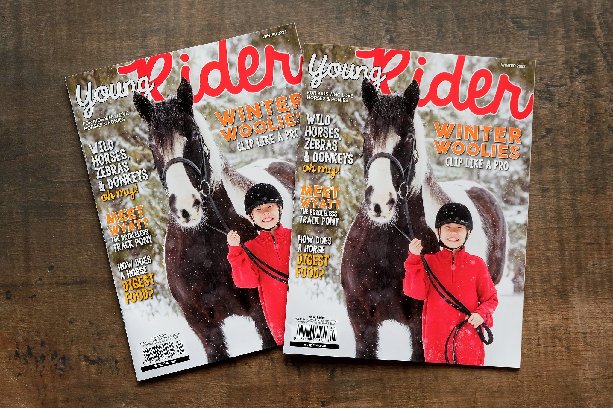 Young Rider Winter Cover