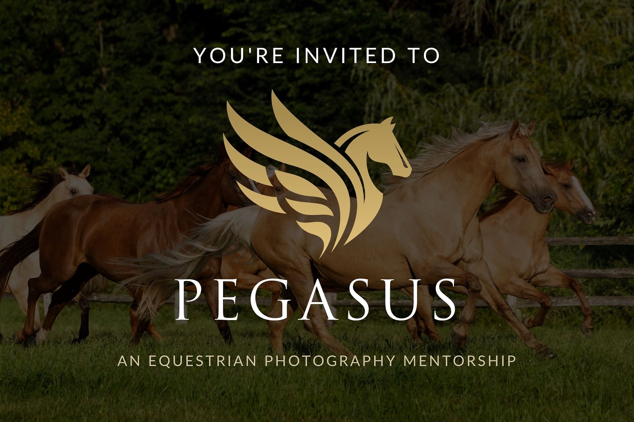 Apply for the 2022 Pegasus Mentorship
