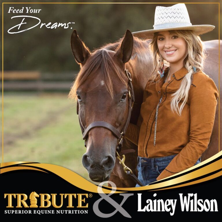 Country Music Star Lainey Wilson for Tribute Equine Nutrition Shelley