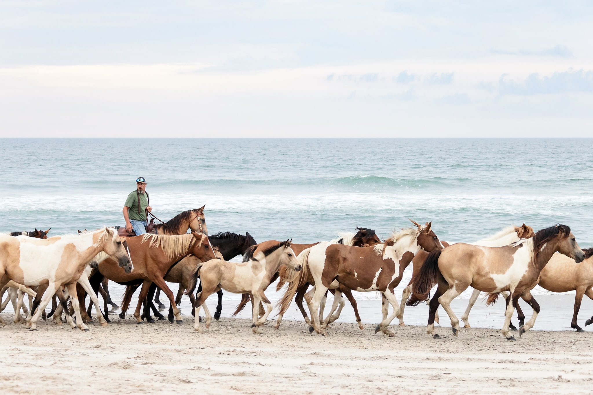 Photos from 2023 Chincoteague Pony Penning Week – Part 1