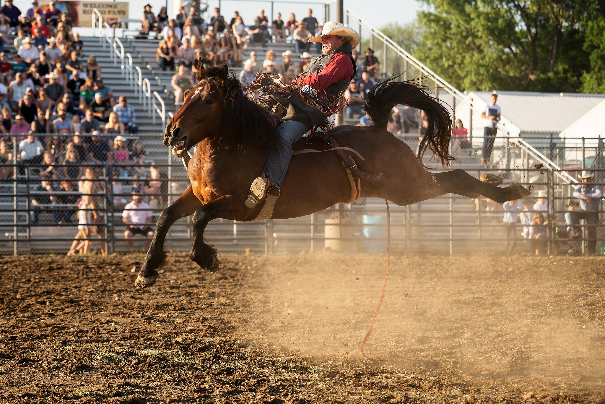 Rodeo in a Small Town Photographs from the Waconia Rodeo Shelley