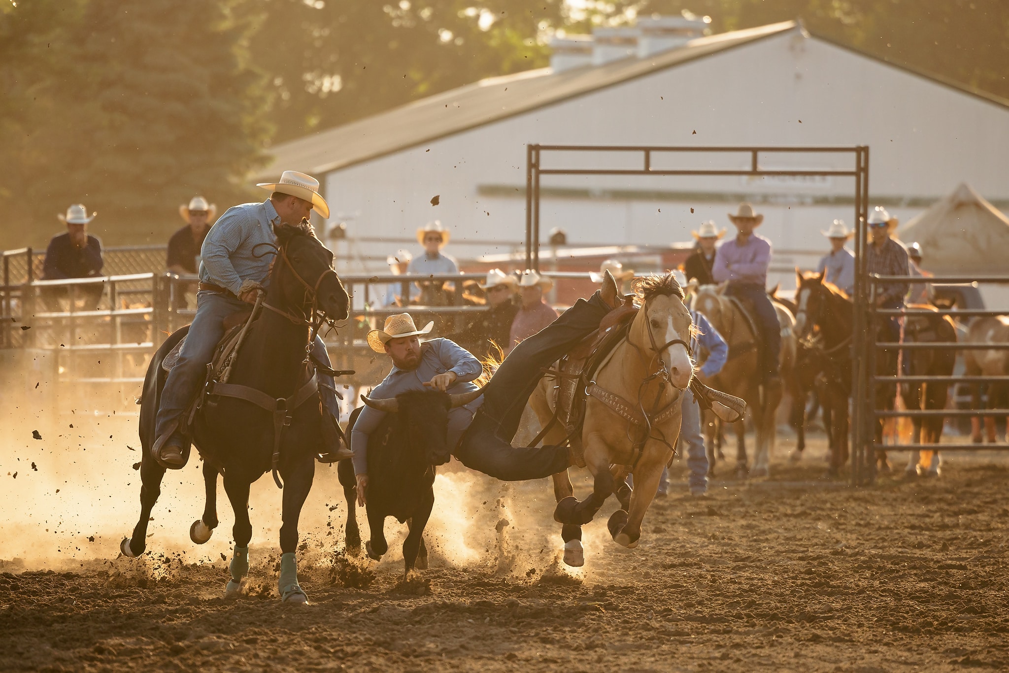 Rodeo in a Small Town Photographs from the Waconia Rodeo Shelley