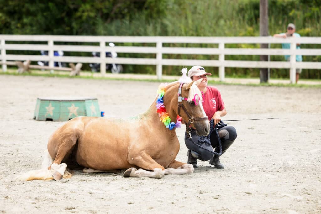 Chincoteague Pony Drill Team