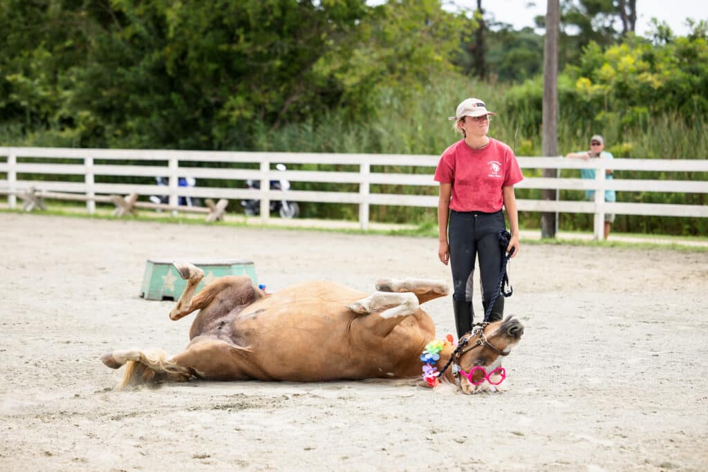 Chincoteague Pony Drill Team