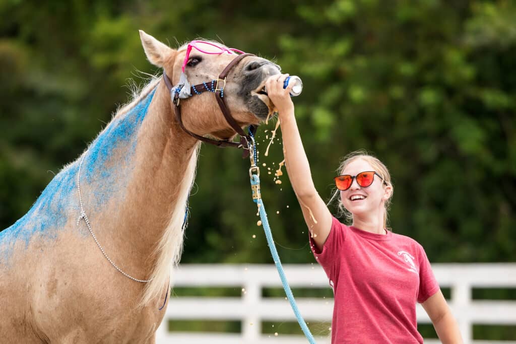 Chincoteague Pony Drill Team