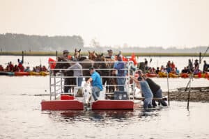 Chincoteague Pony Swim