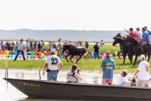 Chincoteague Pony Swim