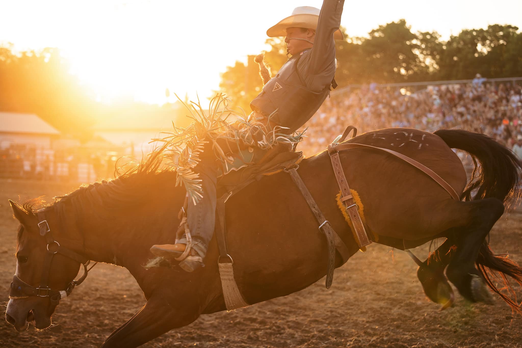 Rodeo in a Small Town – Photographs from the Waconia Rodeo