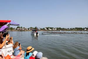 Chincoteague Pony Swim