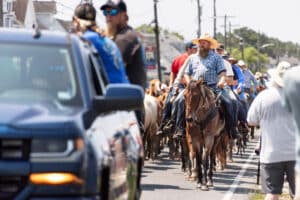 Chincoteague Pony Swim