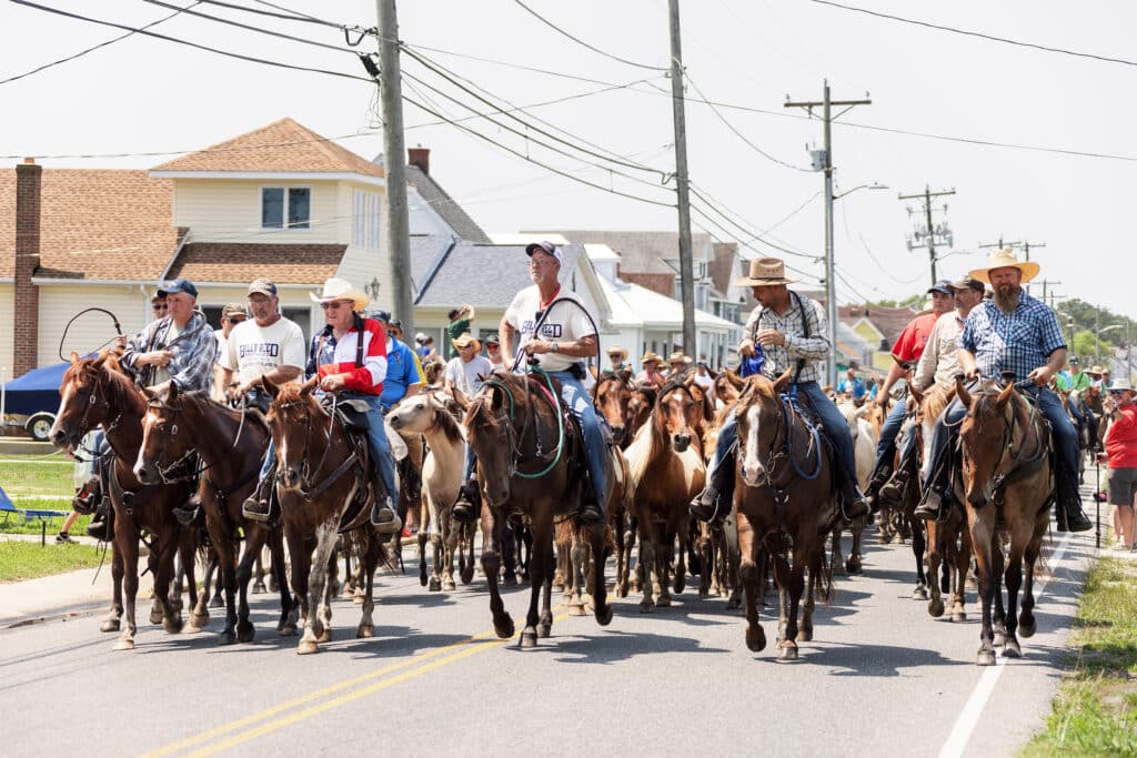 Chincoteague Pony Swim