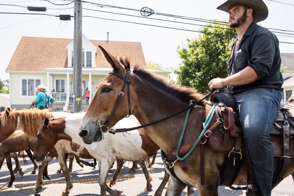 Chincoteague Pony Swim