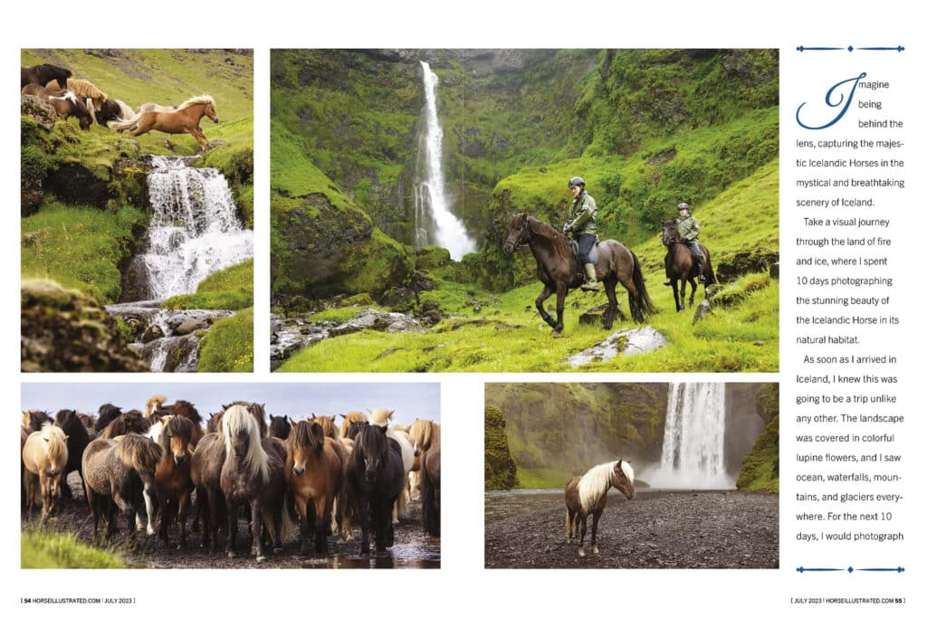 Icelandic horse photos