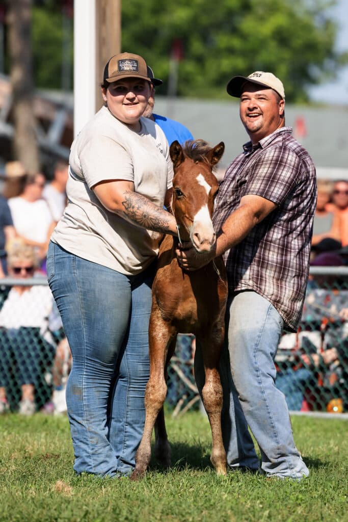 Chincoteague Pony Auction