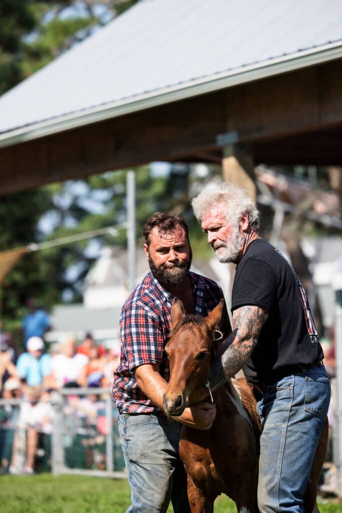 Chincoteague Pony Auction