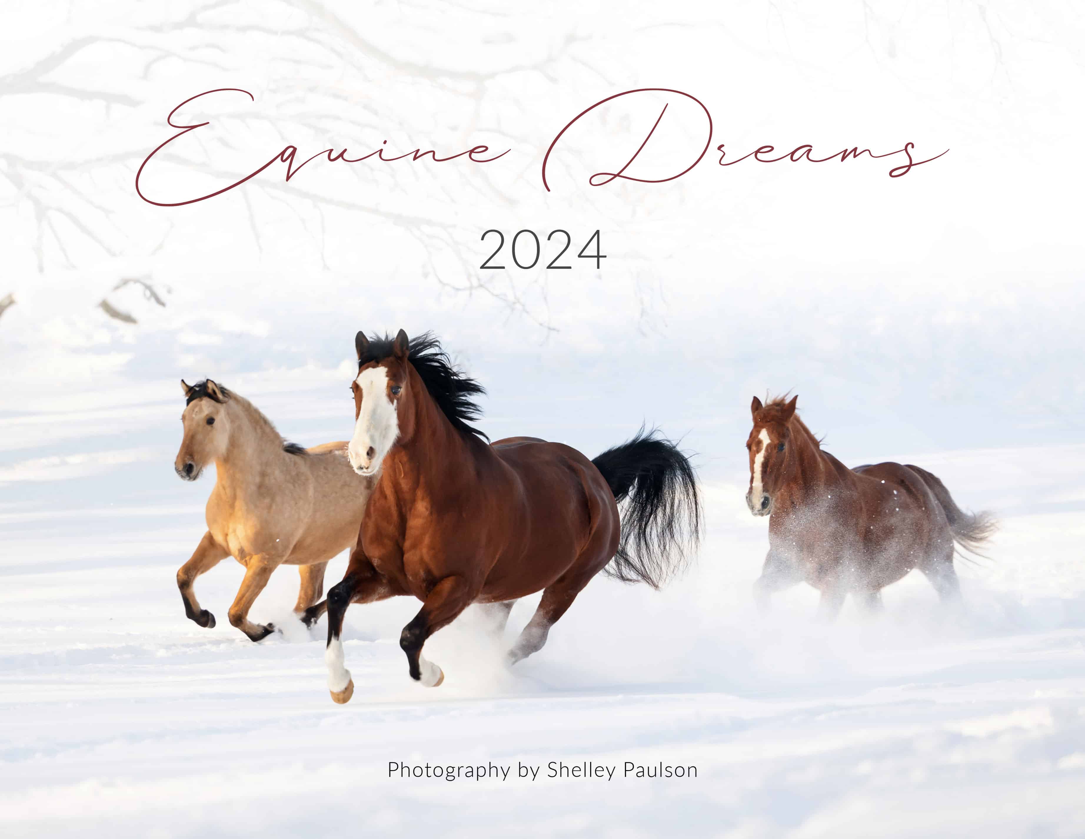 2024 Equine Dreams Calendar