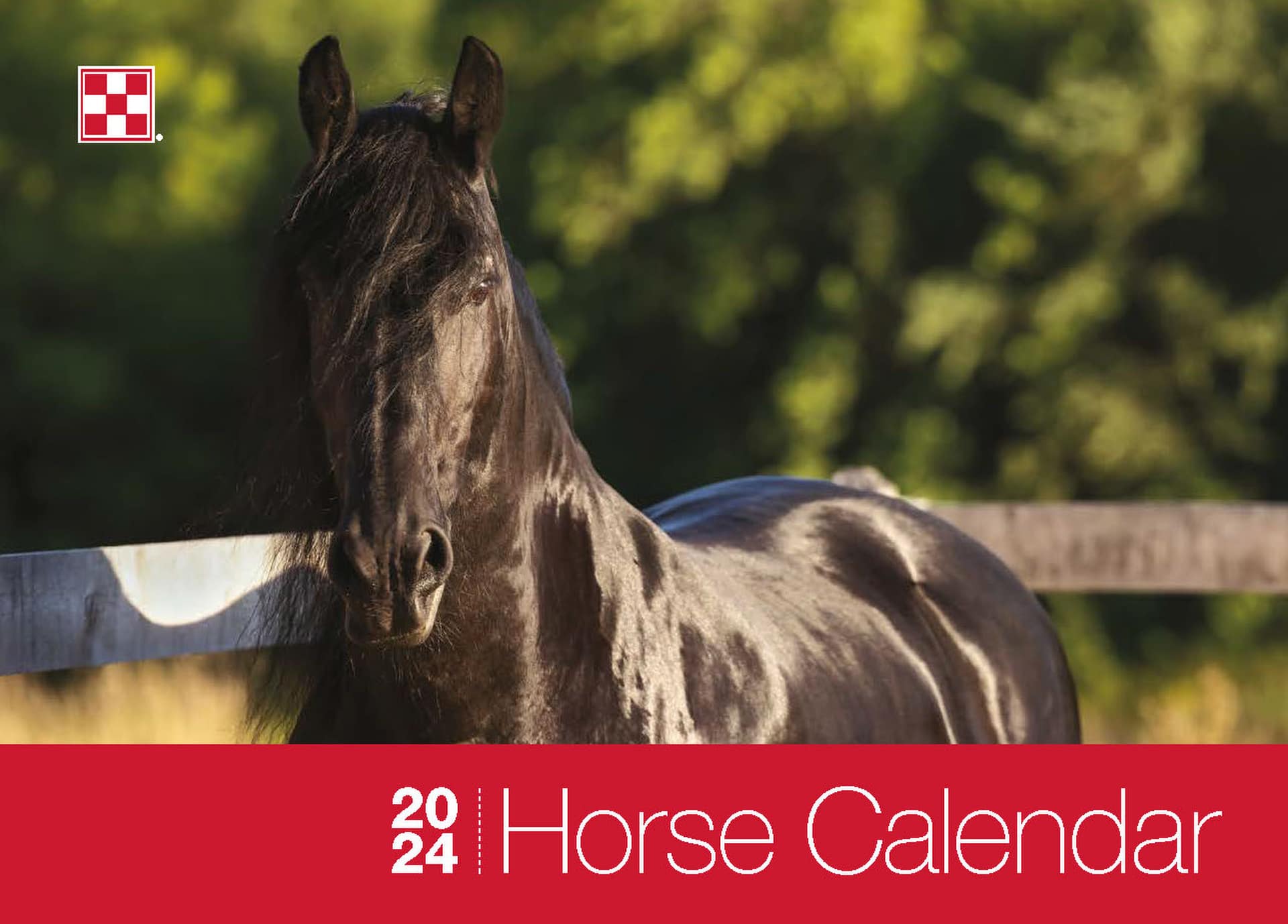 Licensing Equine Stock Images to Purina for their 2024 Calendar