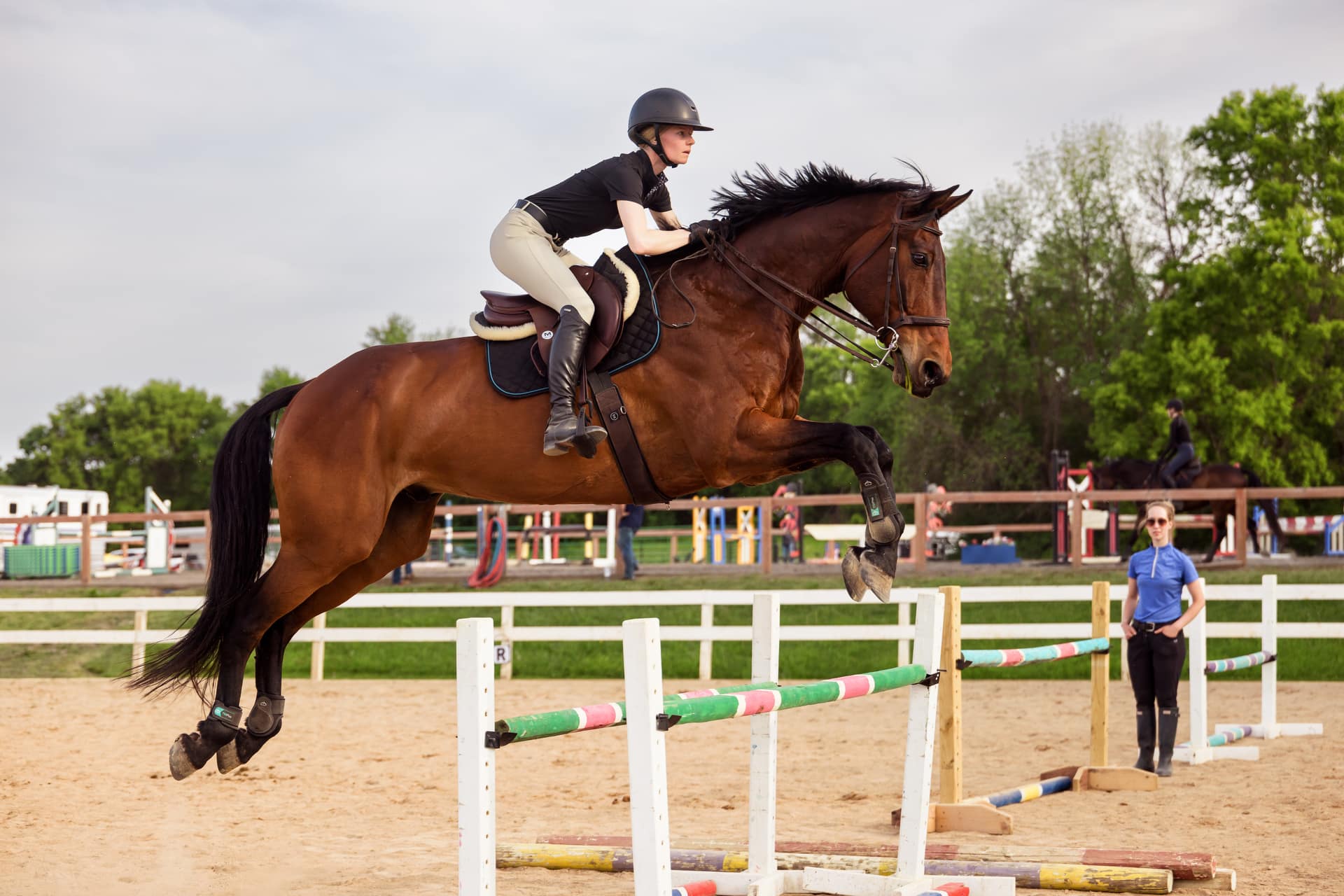Equine Stock Photo Story: Abi & Rex at a Schooling Show
