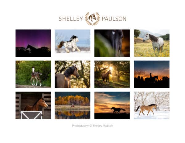 2025 Luminous Equus Calendar - Image 2