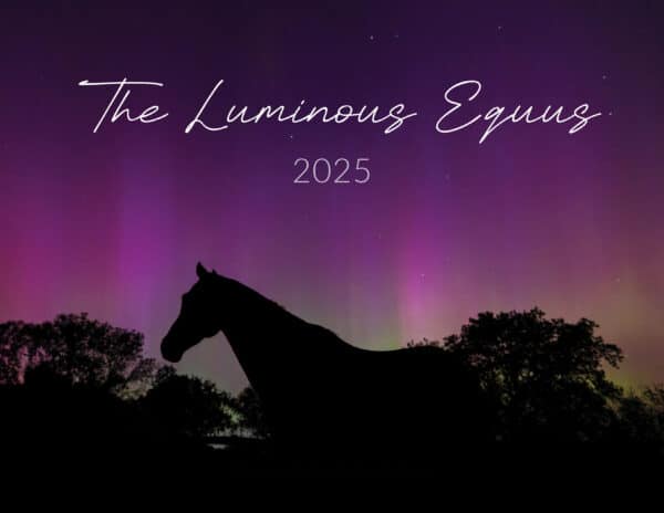 2025 Luminous Equus Calendar