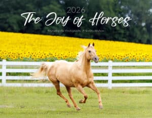 2026 The Joy of Horses Calendar