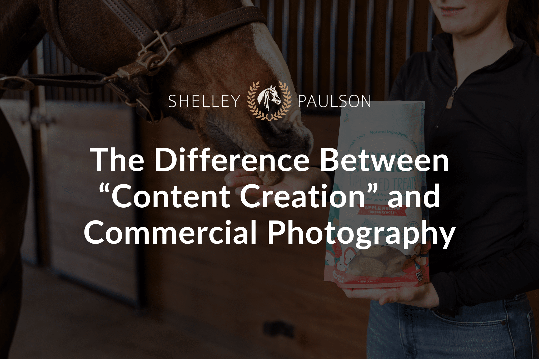 The Difference Between “Content Creation” and Commercial Photography in the Equine Industry