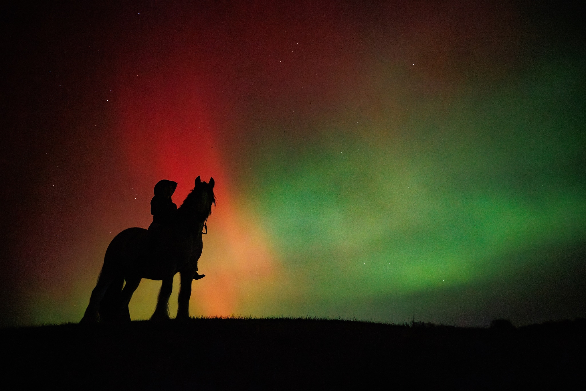 Equus Aurora – A Dream Fulfilled